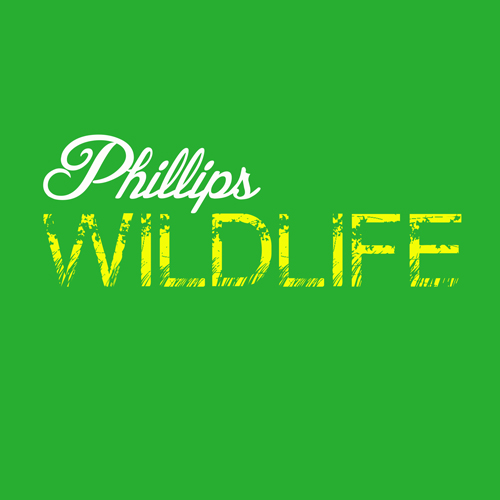 phillips wildlife